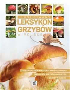 Picture of Ilustrowany leksykon grzybów w Polsce