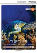 polish book : Turtles: A... - Karmel Schreyer