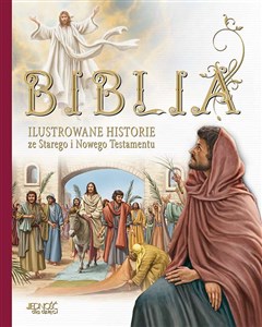 Picture of Biblia Ilustrowane historie ze Starego i Nowego Testamentu