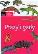 Płazy i ga... - Iwona Wróbel -  books from Poland