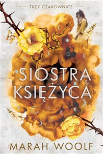 Picture of Siostra księżyca