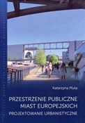 Polska książka : Przestrzen... - Katarzyna Pluta