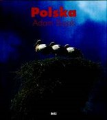 polish book : Polska - Adam Bujak