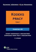 Kodeks pra... - Kazimierz Jaśkowski, Eliza Maniewska -  books from Poland