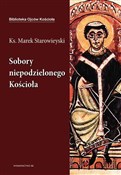 Sobory nie... - Marek Starowieyski -  books from Poland