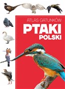 polish book : Atlas gatu... - Opracowanie Zbiorowe