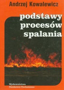 Picture of Podstawy procesów spalania