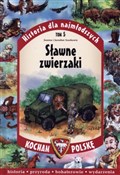 Historia d... - Joanna Szarek, Jarosław Szarek -  foreign books in polish 