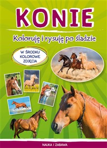 Picture of Konie Koloruję i rysuję po śladzie W środku kolorowe zdjęcia