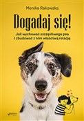Dogadaj si... - Monika Rakowska -  books from Poland