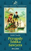 Polska książka : Przygody T... - Mark Twain