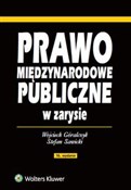 Prawo międ... - Wojciech Góralczyk, Stefan Sawicki -  foreign books in polish 