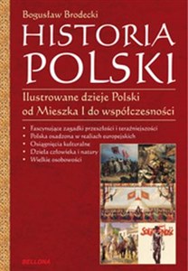 Picture of Historia Polski Ilustrowane dzieje Polski od Mieszka I do współczesności