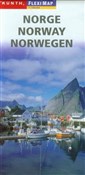 Norwegen F... -  foreign books in polish 