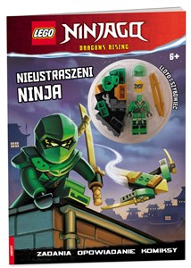 Obrazek Lego Ninjago Nieustraszeni Ninja