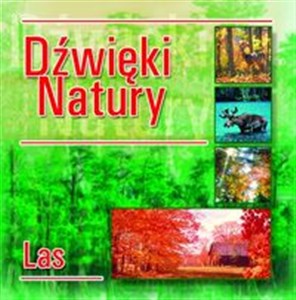 Picture of Dźwięki natury Las