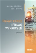 Prawo karn... - Michał Grudecki, Olga Sitarz -  foreign books in polish 