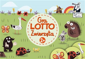 Picture of Lotto Zwierzęta 2+