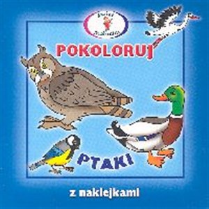 Picture of Pokoloruj Ptaki
