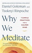 Zobacz : Why We Med... - Daniel Goleman, Tsoknyi Rinpoche