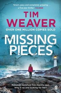 Picture of Missing Pieces