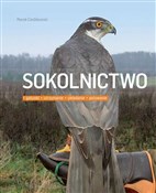 Sokolnictw... - Marek Cieślikowski -  books in polish 