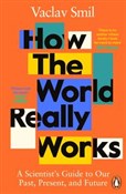 How the Wo... - Vaclav Smil -  books from Poland