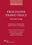 Procesowe ... - Krzysztof Wojciech Baran, Marcin Wujczyk, Daniel Książek -  books from Poland