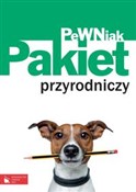 Pewniak Gi... -  books from Poland
