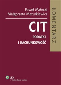 Obrazek CIT Podatki i rachunkowość