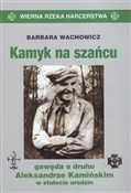 Kamyk na s... - Barbara Wachowicz -  Polish Bookstore 