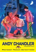 Tajemnica ... - Andy Chandler -  foreign books in polish 