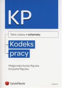 Picture of Kodeks pracy ze schematami