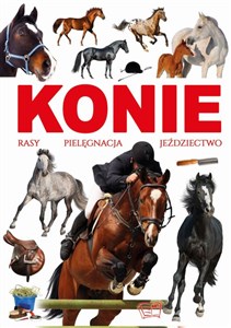 Picture of Konie rasy pielęgnacja jeździectwo