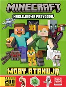 Minecraft.... - null null -  foreign books in polish 