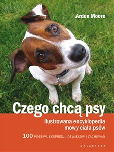 Obrazek Czego chcą psy Ilustrowana encyklopedia mowy ciała psów. 100 pozycji, wyrazów pyska, dźwięków i zachowań