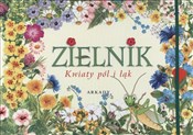 polish book : Zielnik Kw... - Agnieszka Rekłajtis-Zawada