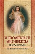 Polska książka : W promieni... - Stanisław Witkowski MS