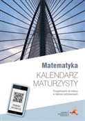 Matematyka... - Małgorzata Dobrowolska, Marcin Karpiński, Jacek Lech -  Polish Bookstore 