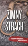 polish book : Zimny stra... - Karin Slaughter