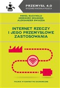 Internet R... - Buchwald Paweł, Granosik Grzegorz, Gwiazda Aleksander -  Polish Bookstore 
