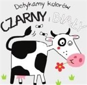 Polska książka : Dotykamy k... - Opracowanie Zbiorowe