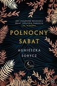 Północny s... - Agnieszka Sorycz -  books from Poland