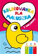 Książka : Kolorowank... - Ilona Brydak (ilustr.)