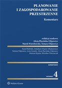 Planowanie... - Arkadiusz Despot-Mładanowicz, Kamil Buliński, Artur Kosicki, Mariusz Rypina, Mirosław Wincenciak -  books from Poland