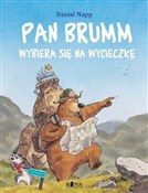 Pan Brumm ... - Daniel Napp -  foreign books in polish 