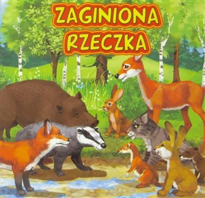 Picture of Zaginiona rzeczka