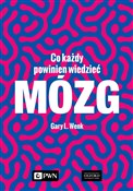 Mózg Co ka... - Gary L. Wenk -  foreign books in polish 