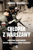 polish book : Chłopak z ... - Andrzej Borowiec