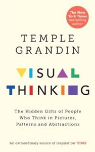 Picture of Visual Thinking